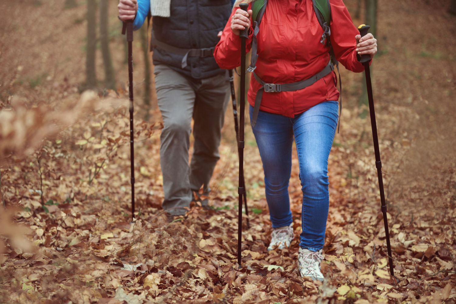 Nordic Walking – spalaj aż 400 kcal na godzinę! Sprawdź dla kogo ta forma aktywności będzie najlepsza